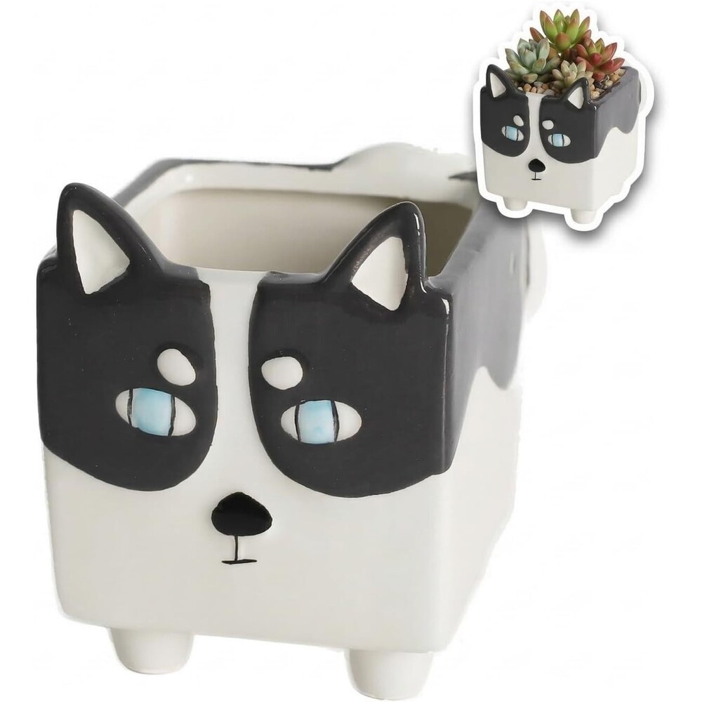 Ceramic Dog Planter 3.7in Black White Succulent Pot Cute Square Plant Pot